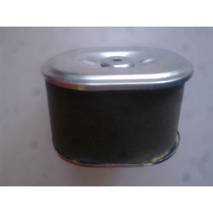 LUMAG Filtr pro motor G200F(RP700PRO, RP90F, RP110HP, 1100PRO, 130HPC)